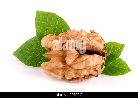 Walnut with leaf isolated on white background Stock Photo