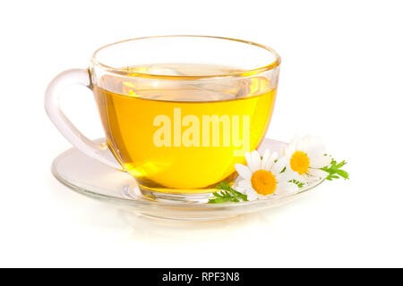 Herbal tea with fresh chamomile flowers isolated on white background Stock Photo