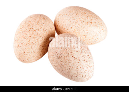 three turkey eggs isolated on white background close-up Stock Photo