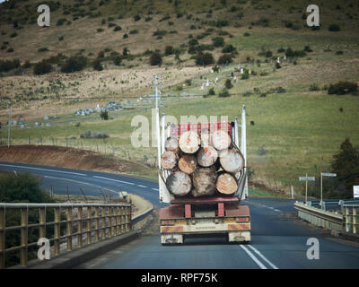 A logging truck filled with a load of large tree logs drives along a road in Tasmania. Stock Photo