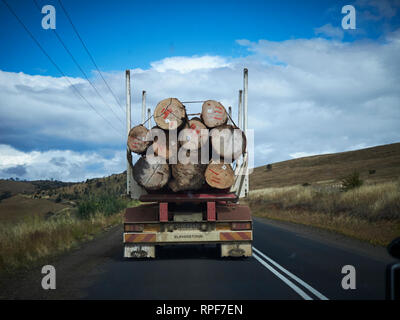 A logging truck filled with a load of large tree logs drives along a road in Tasmania. Stock Photo