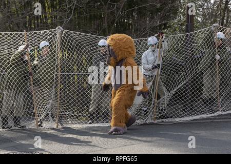 Tokyo, Japan. 22nd Feb, 2019. A zookeeper wearing orangutan costume tries  to escape while zookeepers hold up a net in an attempt to capture it during  an Escaped Animal Drill at Tama Zoological Park. The annual escape drill is  held to train zookeepers