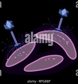 Bacteriophage virus on bacteria, dark background, vector illustration Stock Vector