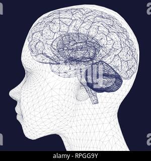 Polygonal human head with brain frame. 3D. Side view. Vector illustration. Head with a brain. Stock Vector