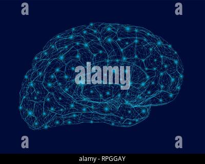 Wireframe of the human brain with glowing lights. Polygonal human brain from blue lines on a dark background. 3D. Vector illustration. Stock Vector
