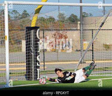 Young goal keeper stops a penalty kick with a diving save, trapping the ball on the goal line, in high school boys soccer action in Shenandoah, Texas. Stock Photo