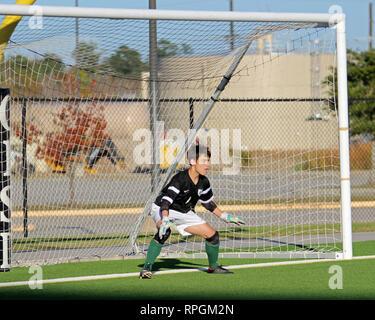 Young goal keeper stops a penalty kick with a diving save, trapping the ball on the goal line, in high school boys soccer action in Shenandoah, Texas. Stock Photo