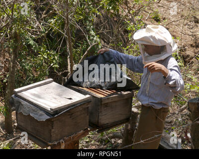 El Salvador  Projects of JDS in Jujutla, community of Oja de Sal. In the home of Jose Gabriel Sanchez (65), his wife Rosa Melida Garcia (56). They have ten children aged 15-36. Jose with his bee hives. Stock Photo