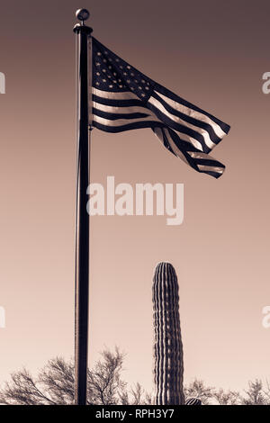 A tall flag pole with an American Flag waving in the wind alongside a Saguaro Cactus against  the sky in a dramatic image of the Southwest in sepia to Stock Photo