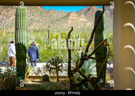 Rear view of visitors overlooking the expansive cacti filled Sonoran desert at the Arizona-Sonora Desert Museum complex in Tucson, AZ, USA Stock Photo