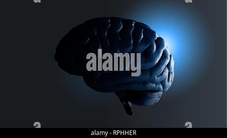 Polygonal vector illustration of a human brain on the palm of a hand ...
