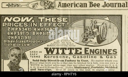 Witte vs advantage on sale