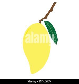Ripe mango and leaf with branch. Summer fruit for health and lifestyle. Illustration vector icon. Stock Vector