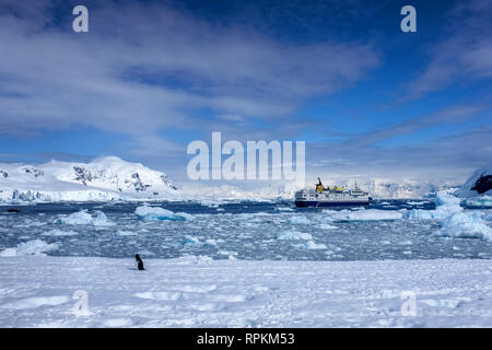 Scene of icebergs, penguins, seals, snow and ice in Antarctica, world's southernmost continent Stock Photo