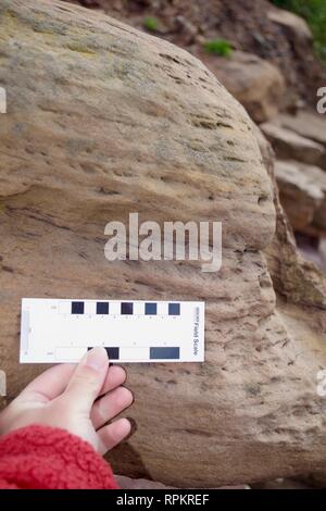 Lamina Cross Bedding of Micro Ripples, Sedimentary Structure in Carboniferous Sandstone Geology along the Fife Coast. Scotland, UK. Stock Photo