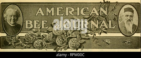 . American bee journal. Bee culture; Bees. VOL. LVIII—NO. 12 HAMILTON, ILL., DECEMBER, 1918 MONTHLY, $1.00 A Y FAR THE COTTON BELT OF TEXAS Notes About Beekeeping Conditions in the Black Land Region of Where Cotton is the Principal Source of Surplus Honey Texas, WHEN we speak of the cotton belt, we naturally think of that large area where cotton is grown as a staple crop. In this arti- cle, however, we mean the smaller area where cotton is the principal source of surplus honey, which cov- ers quite a different section of the map of Texas. In general, this area approximates the extent of the bl Stock Photo