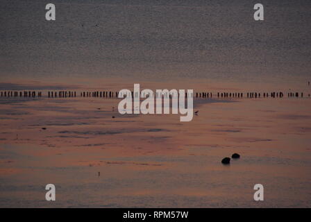 Tidal flat in an evening setting Stock Photo