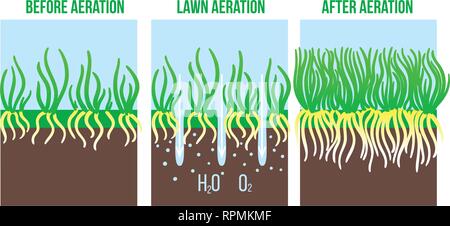 Lawn aeration stage illustration. Gardening grass lawncare, landscaping service. Vector isolated on white Stock Vector