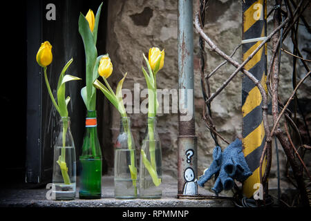 Bottles filled with water with tulips in a rustic backyard Stock Photo