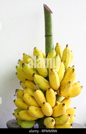 Bunch Of Ripened Organic Bananas At Farmers Market, Thailand Stock Photo,  Picture and Royalty Free Image. Image 88646214.