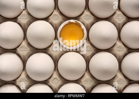 Many eggs in egg carton, one broken egg shell with visible egg yolk, vitellus. Stock Photo