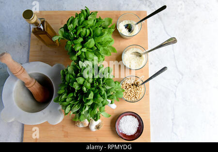 All the ingredients for a proper pesto are laid out on a marble table Stock Photo