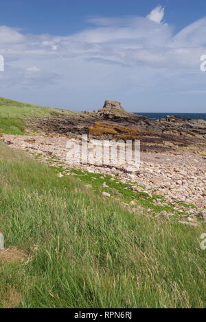 Carboniferous Sandstone Geology and Long grass along the Rugged Fife Coast. Scotland, UK. Stock Photo