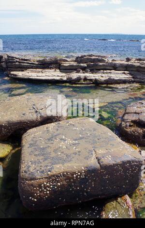 Square Boulder from Eroded Conjugate Joints in Carboniferous Sandstone Geology along the Fife Coast. Scotland, UK. Stock Photo