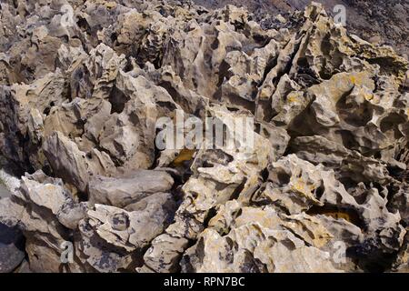 Weathered Convolute Bedding of Carboniferous Calcitic Sandstone Geology along the Fife Coast. Scotland, UK. Stock Photo