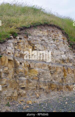 Yellow Carboniferous Sandstone Geology along the Fife Coast. Scotland, UK. Stock Photo