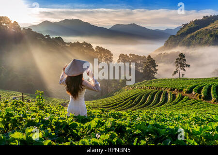 Asian woman wearing Vietnam culture traditional in strawberry garden on Doi Ang Khang , Chiang Mai, Thailand. Stock Photo