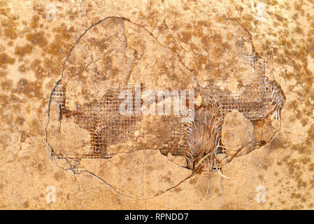 reinforcement in an old concrete wall with mold and moss. background. texture Stock Photo