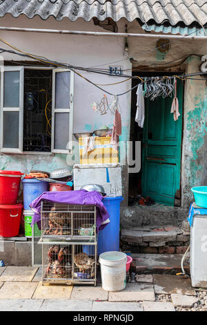 Local house in Hanoi's old quarter, Hanoi, Vietnam, Asia Stock Photo