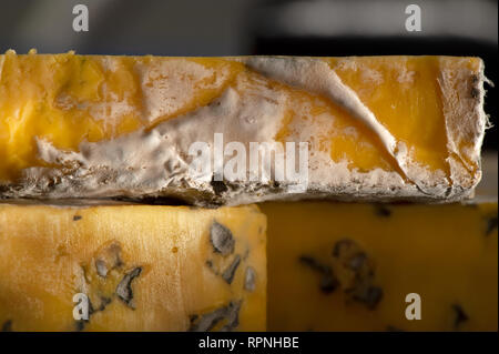Delicious cheeses with blue cheese Close-up detailed shot. Stock Photo
