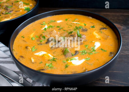 Hungarian Mushroom Soup Stock Photo