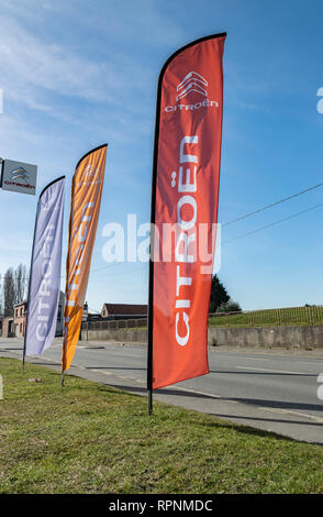 RONCQ,FRANCE-February 20,2019: View of the Citroen brand logo on the flags. Stock Photo