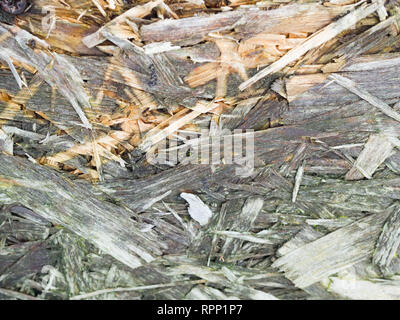 OSB boards are made of brown wood chips sanded into a wooden background. Top view of OSB wood veneer background, tight, seamless surfaces. Stock Photo