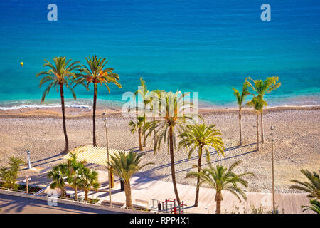 Palm and sand beach im Menton on French Riviera, Cote D Azur in France Stock Photo
