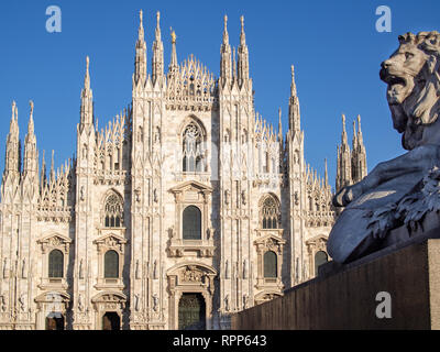 Detail of lion statue and Duomo di Milano (Milan Cathedral) in the background in the sunny evening. Stock Photo