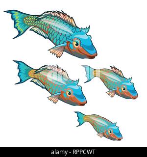 The growth stage of fancy fish with colorful scales isolated on a white background. Cartoon vector close-up illustration. Stock Vector