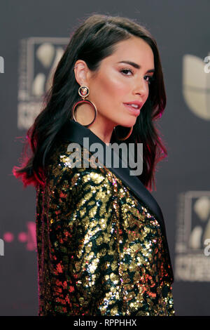 Miami, FL, USA. 21st Feb, 2019. Lali at the 31st Annual Premio Lo Nuestro at the AmericanAirlines Arena in Miami, Florida on February 21, 2019. Credit: Majo Grossi/Media Punch/Alamy Live News Stock Photo