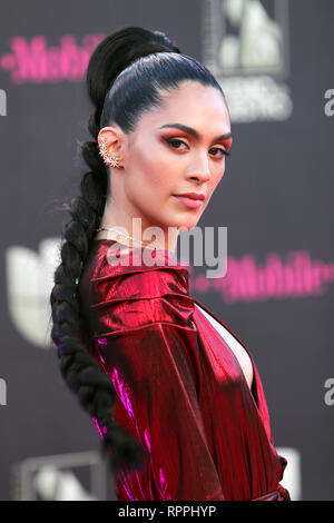 Miami, FL, USA. 21st Feb, 2019. Alaya at the 31st Annual Premio Lo Nuestro at the AmericanAirlines Arena in Miami, Florida on February 21, 2019. Credit: Majo Grossi/Media Punch/Alamy Live News Stock Photo