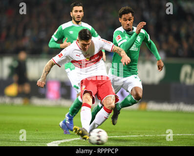 22 February 2019, Bremen: Soccer: Bundesliga, Werder Bremen - VfB Stuttgart, 23rd matchday. Stuttgart's Steven Zuber is not prevented from scoring 0:1 by Werders Nuri Sahin (l) and Theodor Gebre Selassie (r). Photo: Carmen Jaspersen/dpa - IMPORTANT NOTE: In accordance with the requirements of the DFL Deutsche Fußball Liga or the DFB Deutscher Fußball-Bund, it is prohibited to use or have used photographs taken in the stadium and/or the match in the form of sequence images and/or video-like photo sequences. Stock Photo