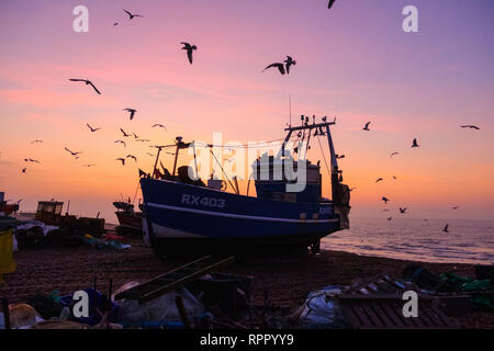 Hastings, East Sussex, UK. 23rd February 2019. Seagulls swirl round Hastings fishing boat at a misty sunrise on a very mild morning on the Stade Old Town beach, on what promises to be a clear warm and sunny day. Credit: Carolyn Clarke/Alamy Live News Stock Photo