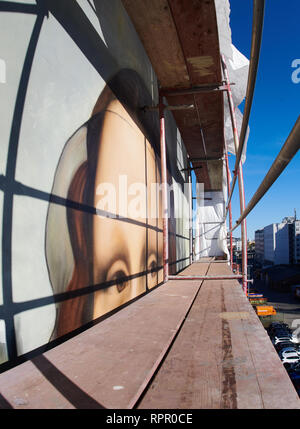 Berlin, Germany. 22nd Feb, 2019. Eyes of an oversized Mona Lisa painted on a house wall can be seen between boards of scaffolding. The Berlin collective Die Dixons will show the project tomorrow without scaffolding opposite the East Side Gallery. Credit: Annette Riedl/dpa/Alamy Live News Stock Photo