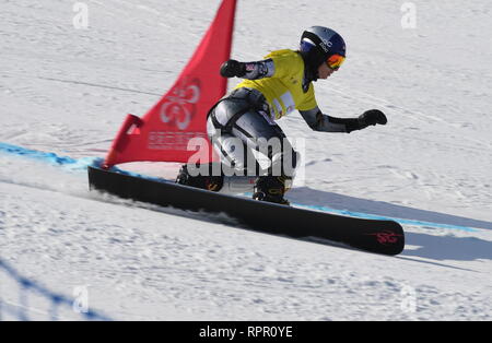 Zhangjiakou, China. 23rd Feb, 2019. Ester Ledecka of the Czech Republic competes during the Ladies' Parallel Giant Slalom final of FIS Snowboard World Cup 2018-2019 in Zhangjiakou of north China's Hebei Province, on Feb. 23, 2019. Ester Ledecka won the second. Credit: Zhu Xudong/Xinhua/Alamy Live News Stock Photo