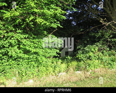 White and green wooden doghouse in a backyard in Southern Denmark Stock Photo