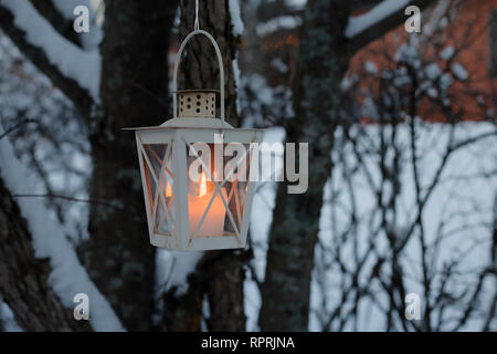 White old lantern hanging from a tree branch. Photographed during Christmastime in Finland. You can see some snow and trees in addition to the lantern Stock Photo
