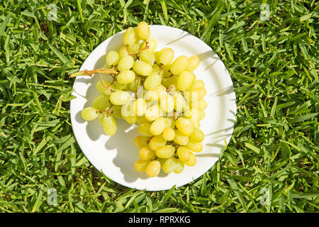 Grapes on a white plate on grass background Stock Photo
