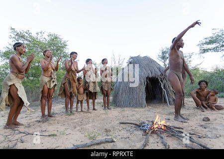 Bushmen of the San people singing and dancing traditional dances around the fire in front of the hut, Kalahari, Namibia, Africa Stock Photo